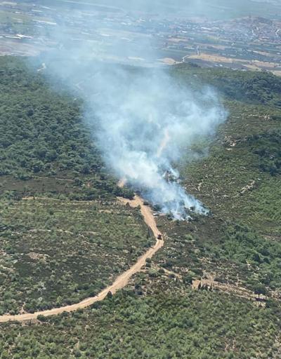 İzmir Foçada orman yangını