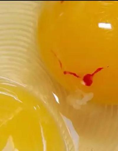 Kırmızı lekeli yumurta yemek tehlikeli mi Bilim insanları yanıtladı