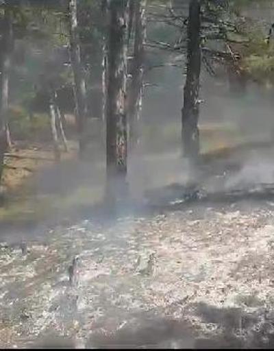 Konyada orman yangını