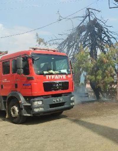 Trafo patladı, ağaç ve otluk alan alev aldı