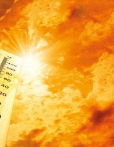 2023 yılı tarihe geçti: Kayıtlardaki en sıcak yıl