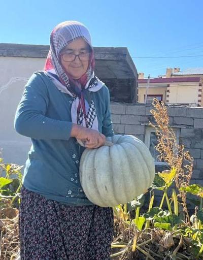 Covid-19 hayatını değiştirdi Her şeyi bırakıp İstanbul’dan köyüne döndü, yaptığı organik tarımla siparişlere yetişemiyor