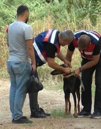 Köpeği Tina geri dönmüştü: Korhan Berzegi arama çalışmaları 130’uncu günde sonlandırıldı