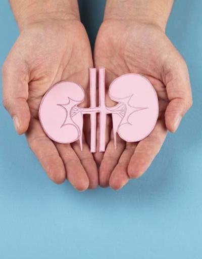 100 binden fazla kişi yaşama tutunmak için organ bağışı bekliyor