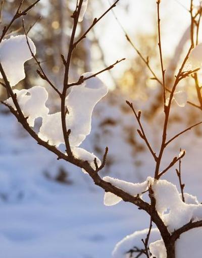 Kış aylarında hava sıcaklığı normalin 2-3 derece üzerinde olacak