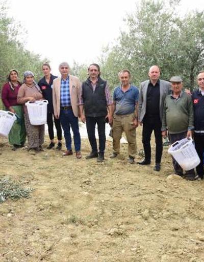 Akhisarda zeytin hasadı yapan üreticilere koruyu ekipman desteği