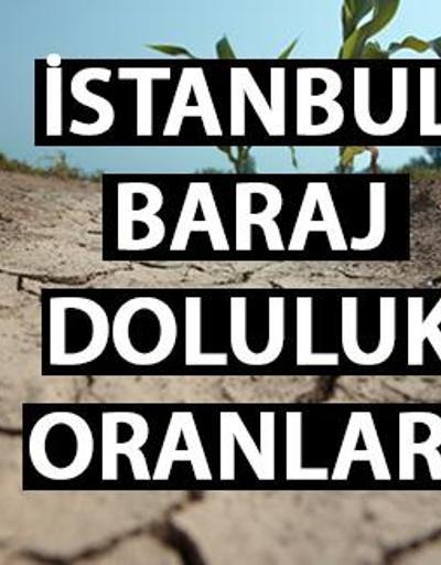 14 Kasım 2023 İSKİ İstanbul baraj doluluk oranları İşte barajlarda son durum