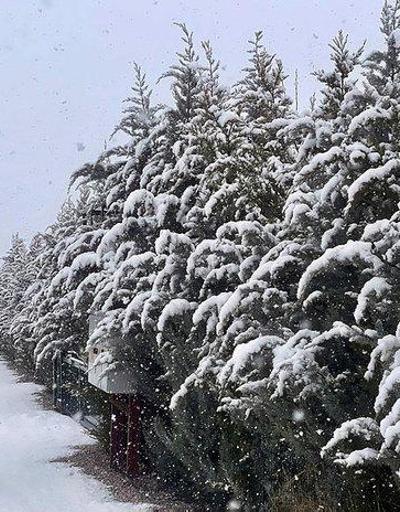 Son dakika: Sakarya’da okullar tatil mi 20 Kasım 2023 Sakarya’da yarın okul var mı yok mu Valilik’ten kar tatili açıklaması geldi mi
