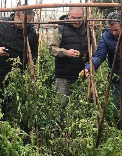 Erdemli’de dolu yağışı ekili alanlara zarar verdi