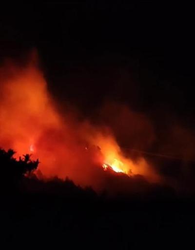 Trabzonda orman yangını 2 itfaiye eri dumandan etkilendi