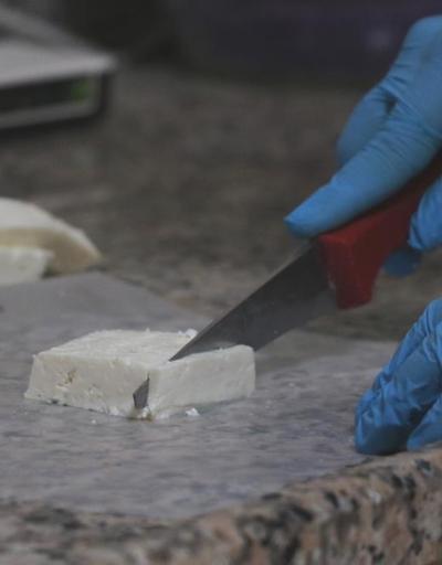 Ezine peyniri, Türkiyede Avrupa Birliğinden coğrafi işaret tescili alan ilk peynir oldu