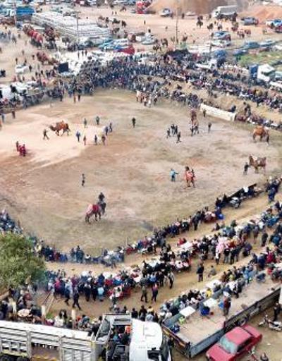 Bergamada folklorik deve gösterisi festivali düzenlendi