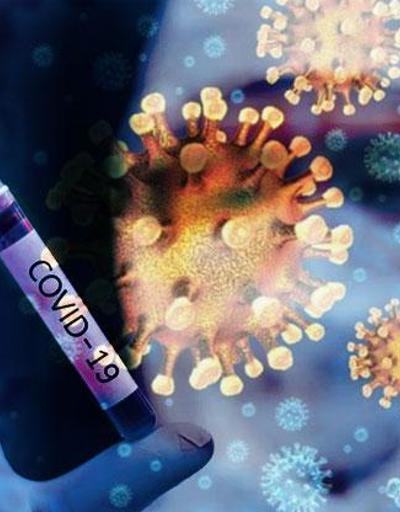 Ölümcül koronavirüs üretildi Kabusun adı: GX_P2V