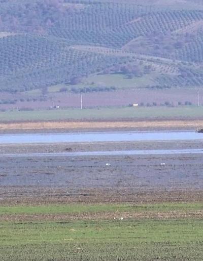 3 yıl önce kuruyan Marmara Gölü yeniden su tutmaya başladı