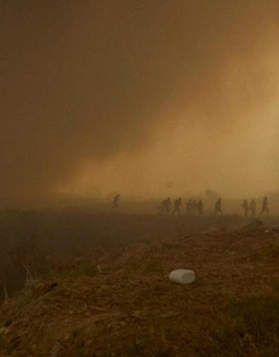 Şilide orman yangını faciası: 112 ölü