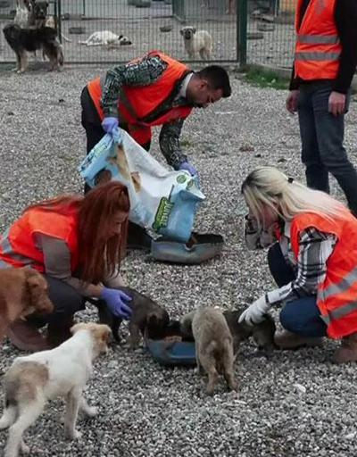 Depremde 200’den fazla hayvanı enkazdan kurtardılar
