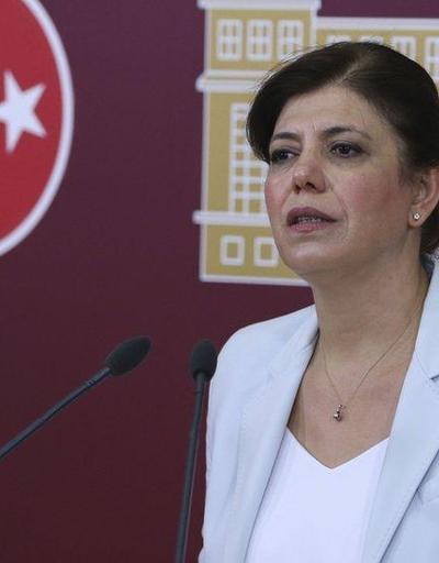 Meral Danış Beştaş kimdir, nereli DEM Parti İstanbul Büyükşehir Belediye başkan adayı hakkında bilgiler