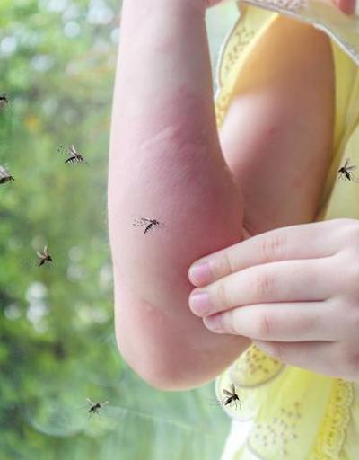 Sivrisinek kaynaklı hastalıklara dronlu çözüm