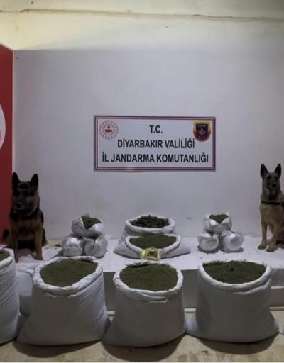 Diyarbakır’da 116 kilo esrar ele geçirildi; 7 gözaltı