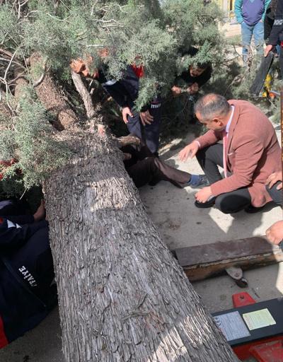 Burdurda üzerine ağaç devrilen Saadet Partisi belediye başkan adayı yaralandı