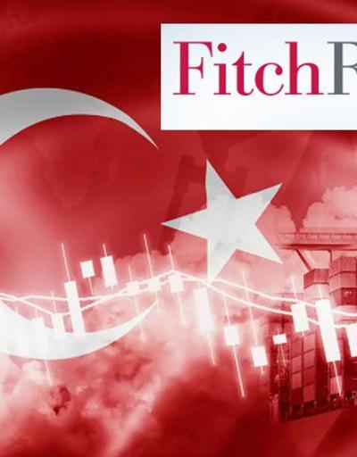 İngiliz ekonomistten Fitch yorumu: Türkiye hak etti