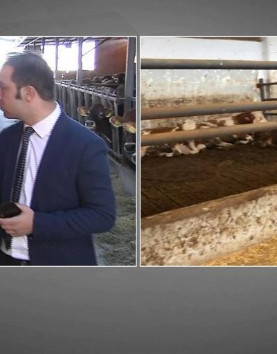 Tarım ve Orman Bakanı CNN TÜRKte: Tarımda hibe detayı ne