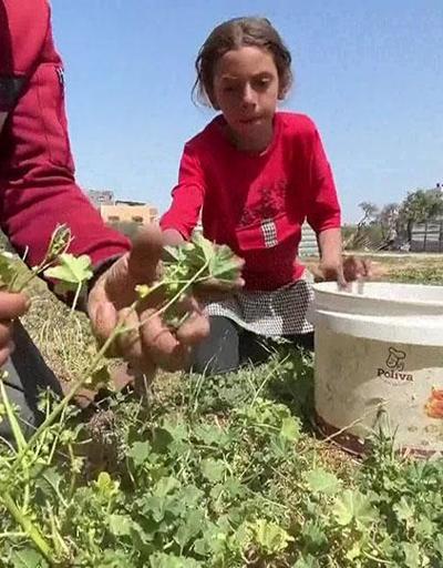 Gazzeliler çocukları için yemek arıyor