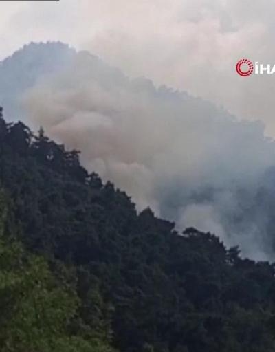 Antalya Kemer’de orman yangını…