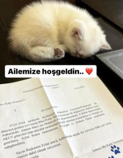 Behzat Ç.nin yıldızıydı Etimesgut Belediye Başkanı Erdal Beşikçioğlu depremzede kedinin yavrusunu sahiplendi
