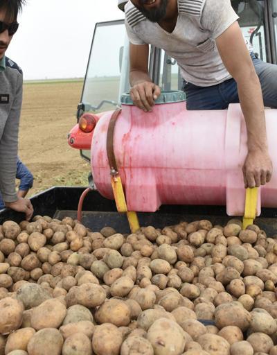 Niğdede patates ekim alanı geçen yıla oranla yüzde 30 arttı