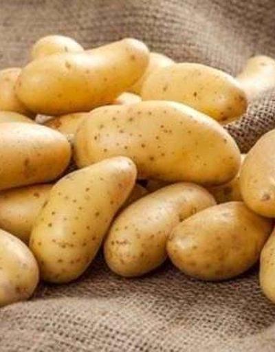 Haşlanmış Patates Besin Değeri: Haşlanmış Patates Kaç Kalori