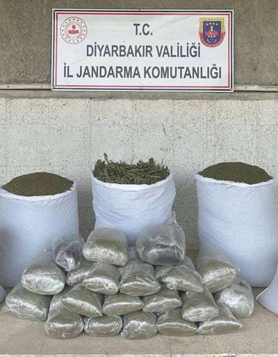Diyarbakır’da 173 kilo esrar ele geçirildi