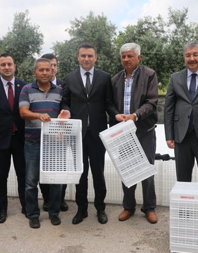 Osmaniye’de 900 çiftçiye 21 bin 500 adet plastik zeytin kasası dağıtıldı
