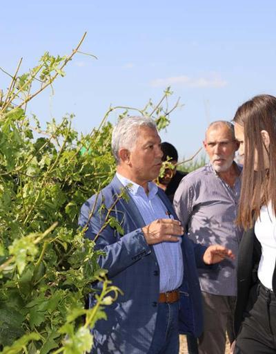 Şehzadeler Belediye Başkanı Durbaydan üreticiye ziyaret