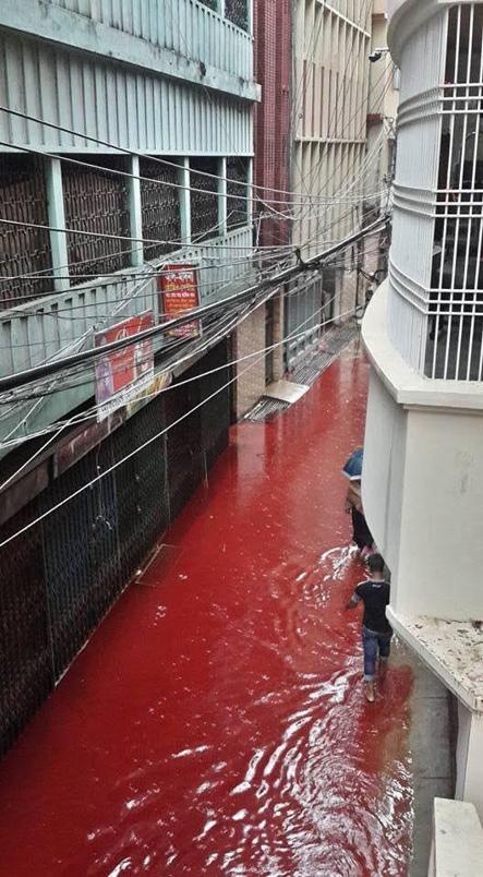 Başkent sokaklarından kan aktı