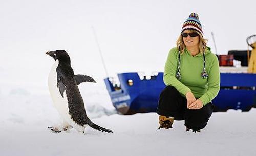 74 kişi Antarktikada hala kurtarılmayı bekliyor