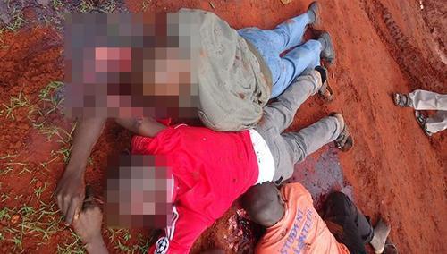 Kenyada 28 yolcu öldürüldü