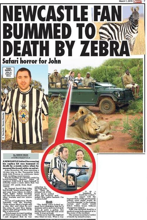 Bu formayla zebra avına gidince öldü