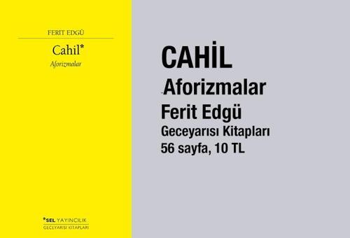 Alain de Bottonun son kitabı Türkçede