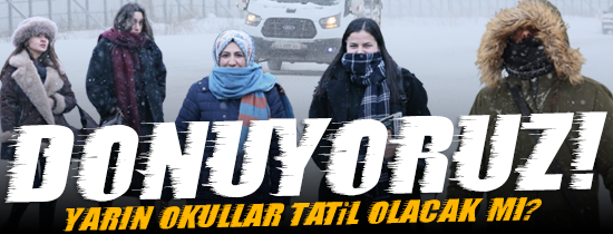 Altay Soğukları Türkiye’yi Esir Aldı