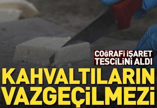 Ezine peyniri, Türkiye'de Avrupa Birliği'nden coğrafi işaret tescili alan ilk peynir oldu