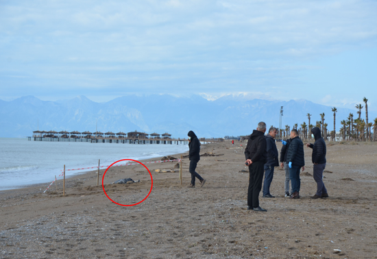 4 2/7 - 6/7 решение. 6. Вычислить 2 7 36 9 8. 3 целых2/3+1 целая 4/7. 13 3/4 +(3, 25-1 1/3*2, 01) решения.