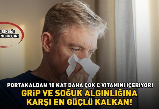 Grip ve soğuk algınlığına karşı en güçlü kalkan Bağışıklığı güçlendiriyor: PORTAKALDAN 10 KAT DAHA ÇOK C VİTAMİNİ İÇERİYOR