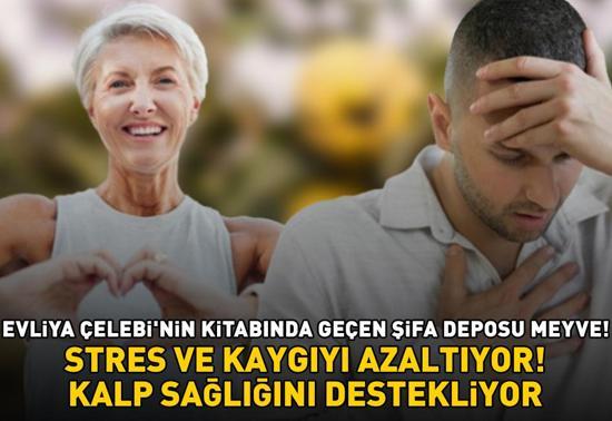 Evliya Çelebinin kitabında geçen şifa deposu meyve Stres ve kaygıyı azaltıyor, kan şekerini dengeleyip kalp sağlığını destekliyor