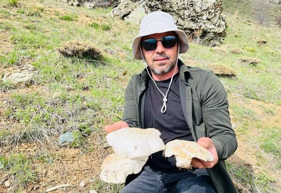 Doğada kendiliğinden yetişen protein deposu 2 bin rakımın üzerinde yetişiyor
