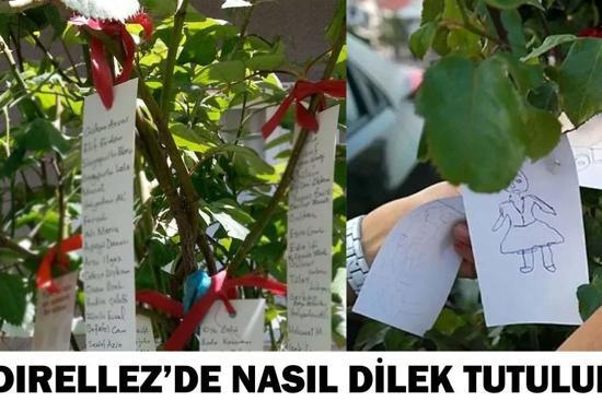 HIDIRELLEZ’DE NASIL DİLEK TUTULUR Hıdırellez Gül Ağacına Dilek Dileme Ne Zaman, Nasıl Yapılır