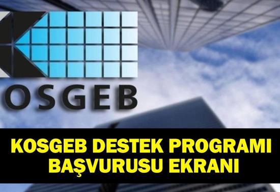 KOSGEB BELGESİ ALMA: KOSGEB Kapasite Geliştirme Destek Programı Başvurusu Nasıl Yapılır, Nereden Başvuru Şartları Neler 2. Başvurular Başladı