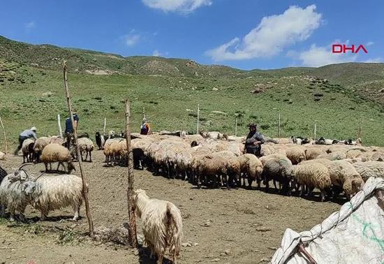 Terörün bitmesi ekonomiye ne katar
