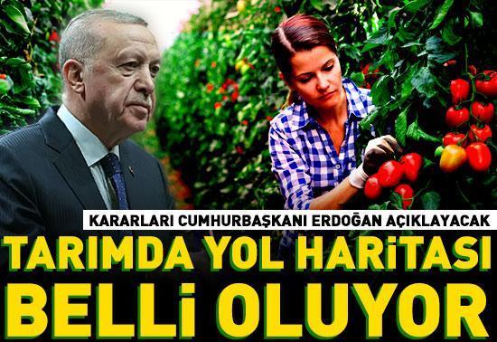 Tarımda yol haritası belli oluyor... Kararları Cumhurbaşkanı Erdoğan açıklayacak