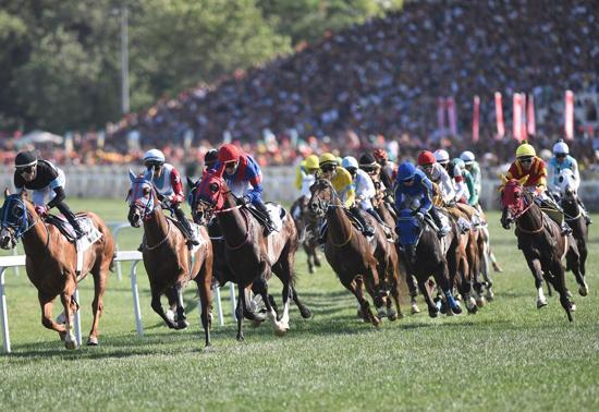 Veliefendide, İstanbul Yarış Festivaline doğru Heyecan 2 gün sürecek...